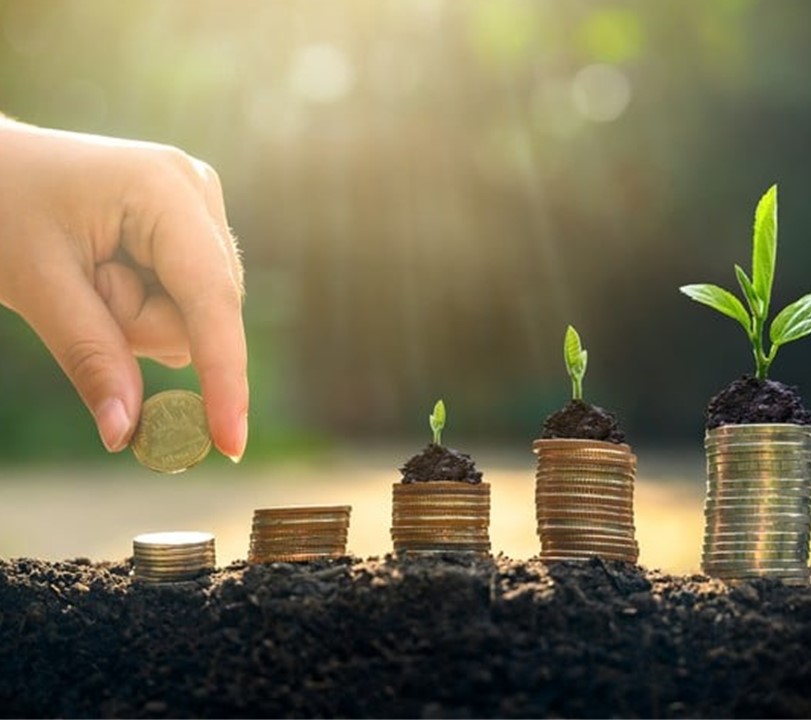 [AFTERWORK] Comment le verdissement de vos entreprises contribue à leur pérennité ? 1