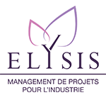 ELYSIS CONSULTING