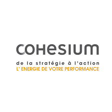 Choix stratégiques du développement commercial